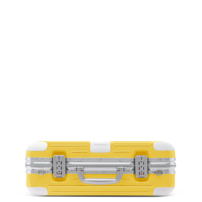 Holiday Hand-Carry Case 3