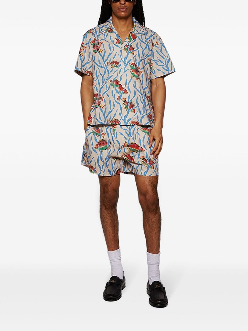 BODE Swimmers shorts outlook