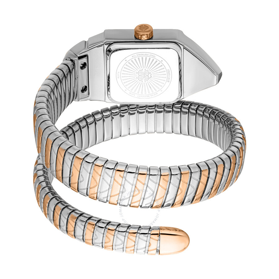 Roberto Cavalli Snake Core Silver-tone Dial Ladies Watch RC5L076M0065 - 2