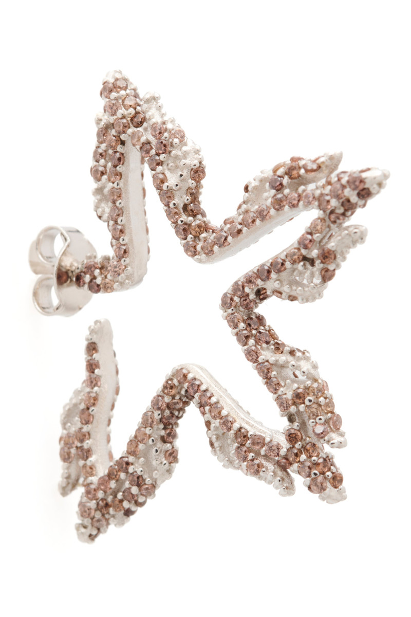 Collina Strada EARTH FLAME STAR EARRINGS outlook