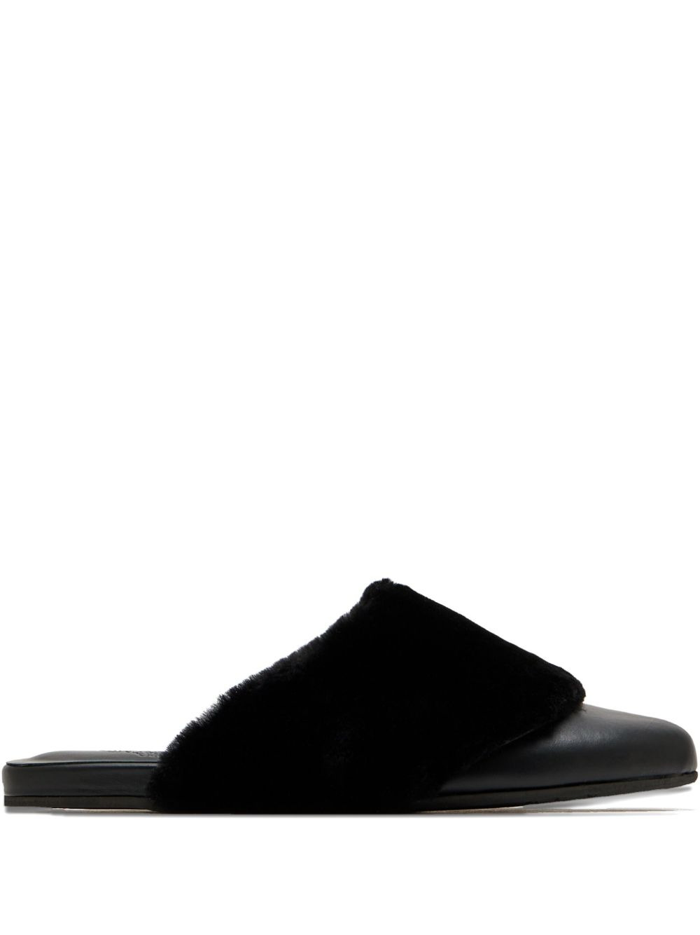 Thyone mules - 1