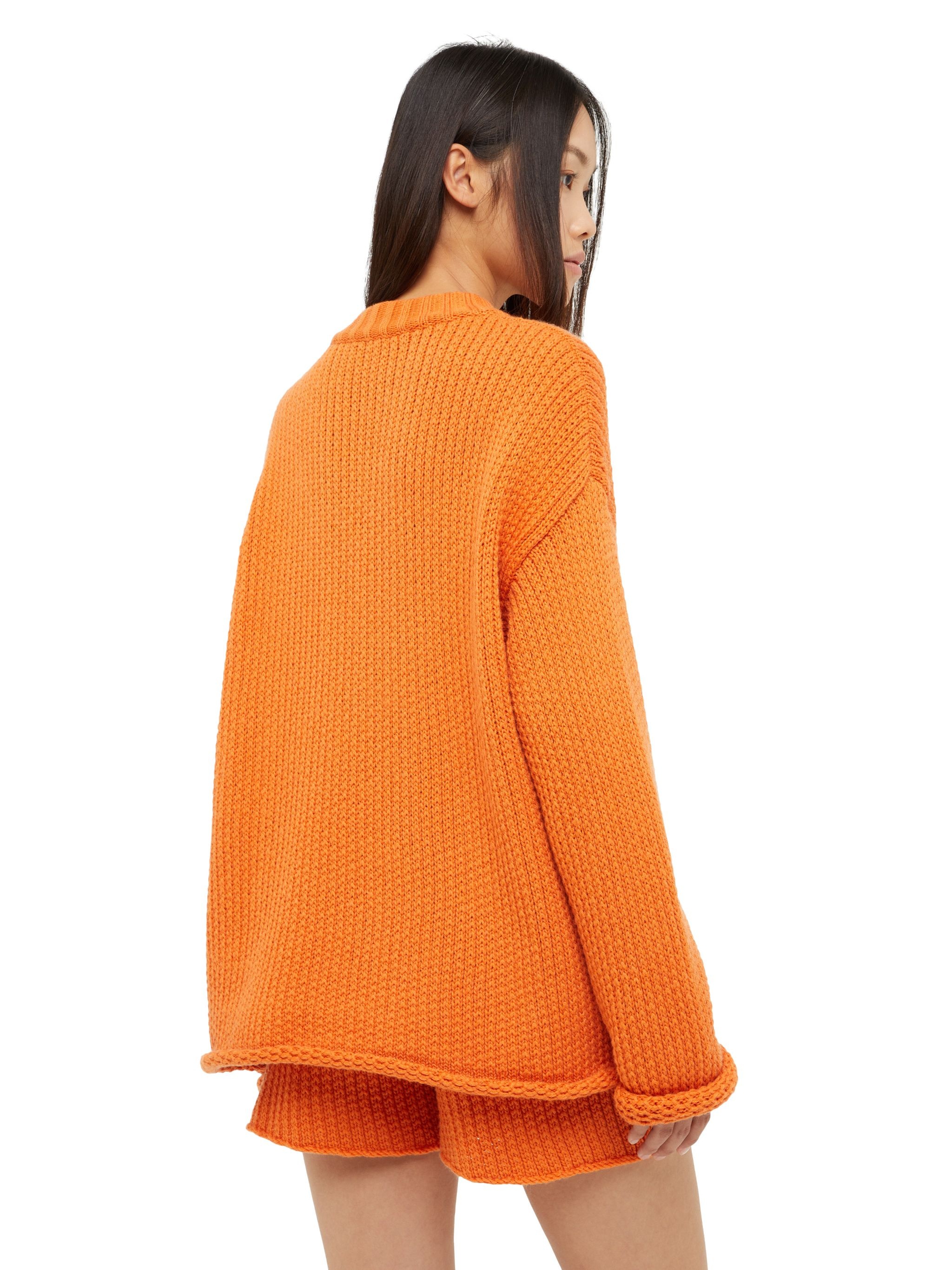 Alanui Finest Sweater - 8