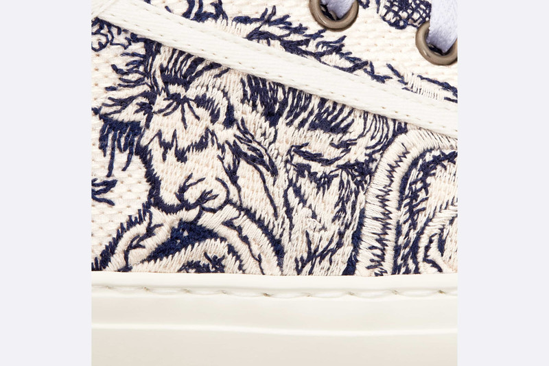 Walk'n'Dior Platform Sneaker 6