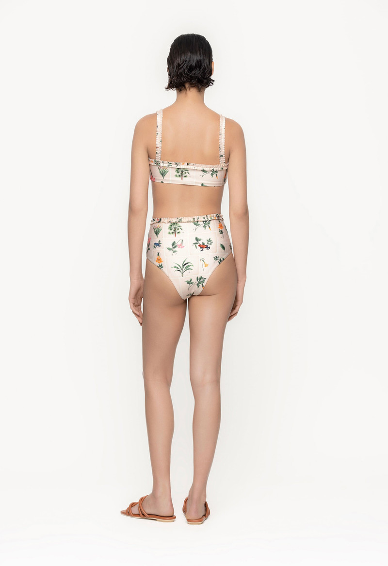 Nopal Ranas Bikini Bottom 4