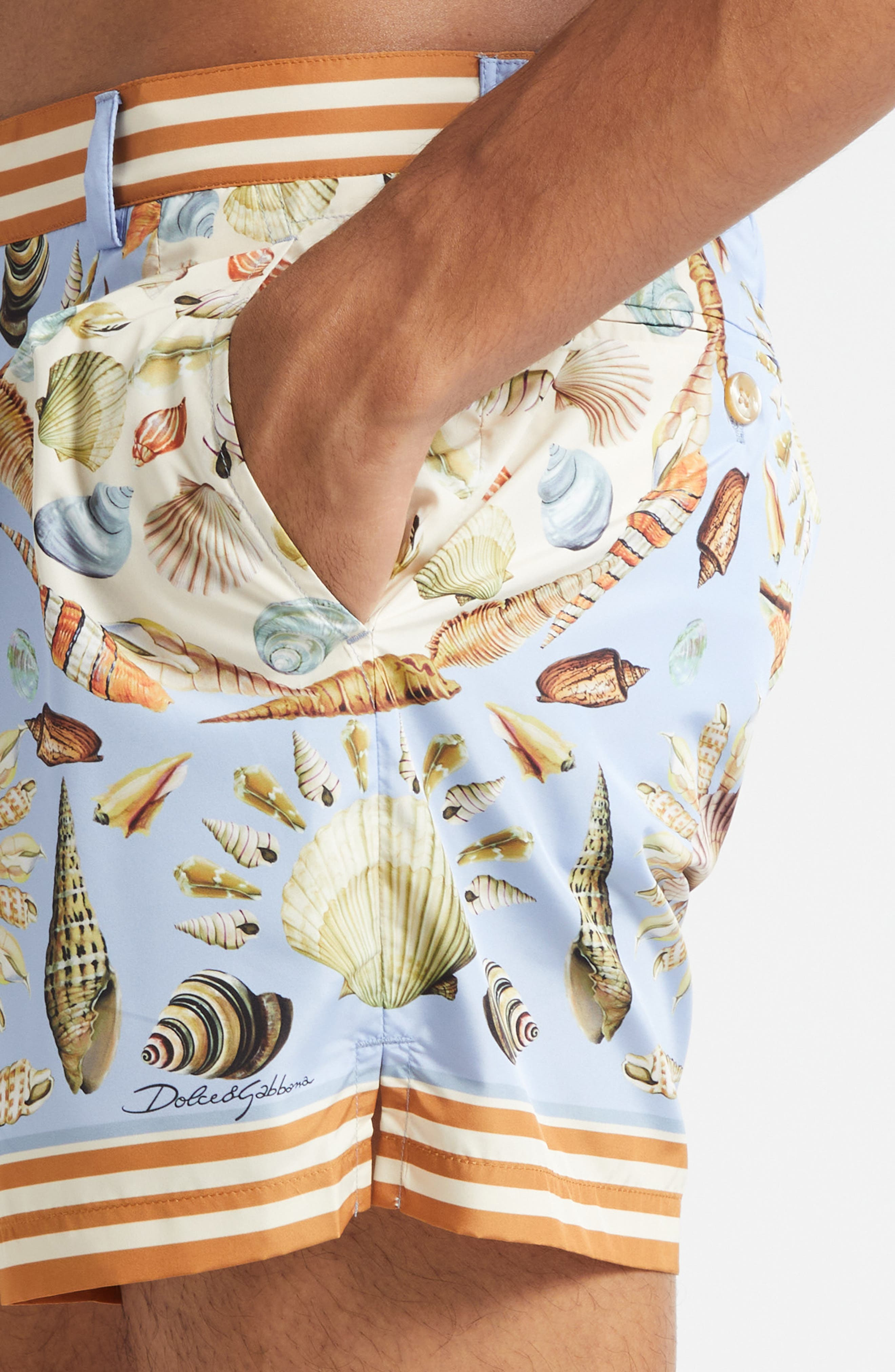 Dolce&Gabbana Shell Print Swim Trunks in Hc5Pk Conchiglie F.celeste at Nordstrom - 4