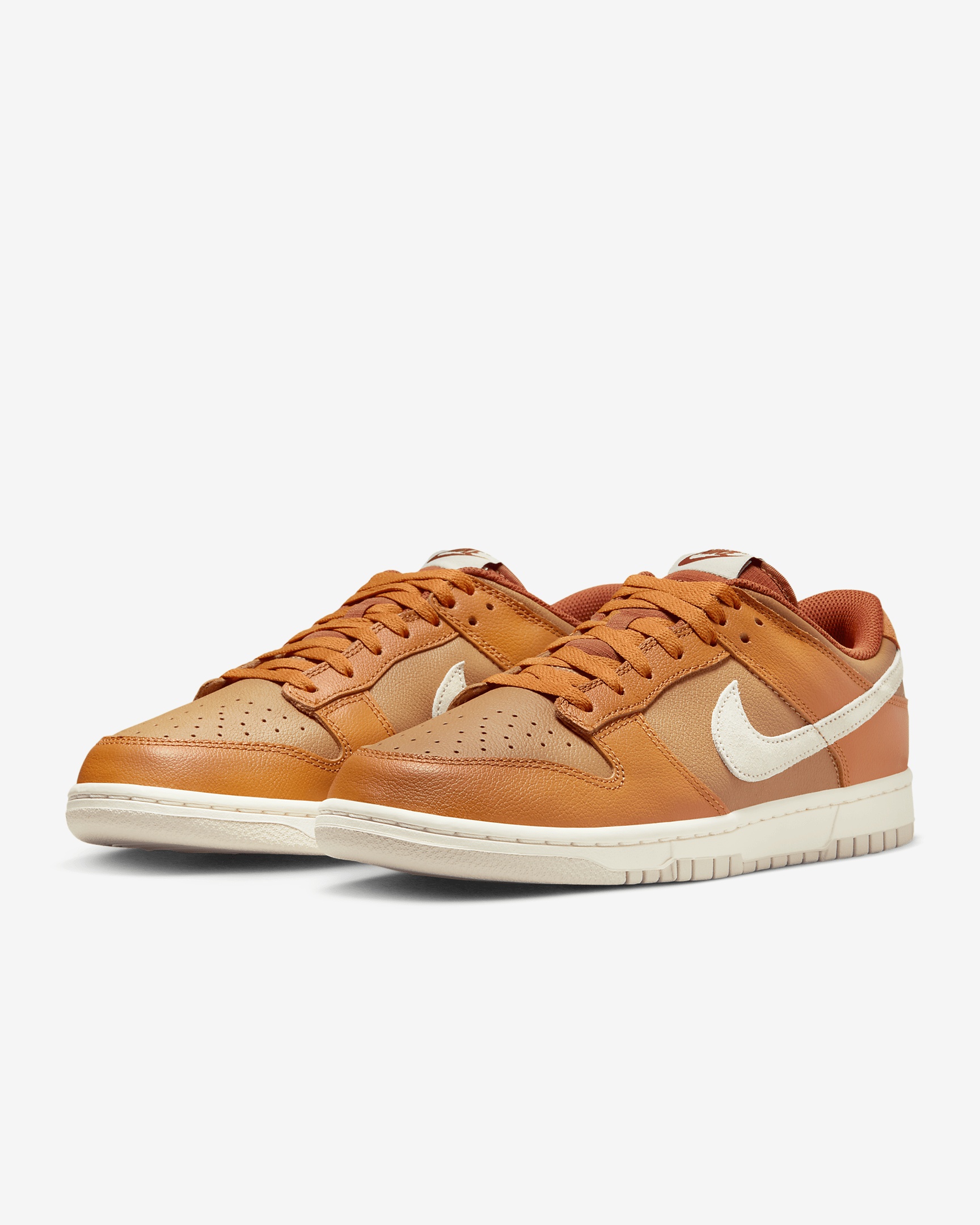 Nike Dunk Low Retro SE Men's Shoes - 5