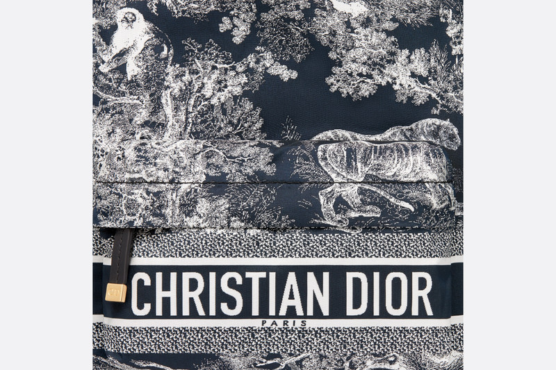 Small DiorTravel Backpack 6