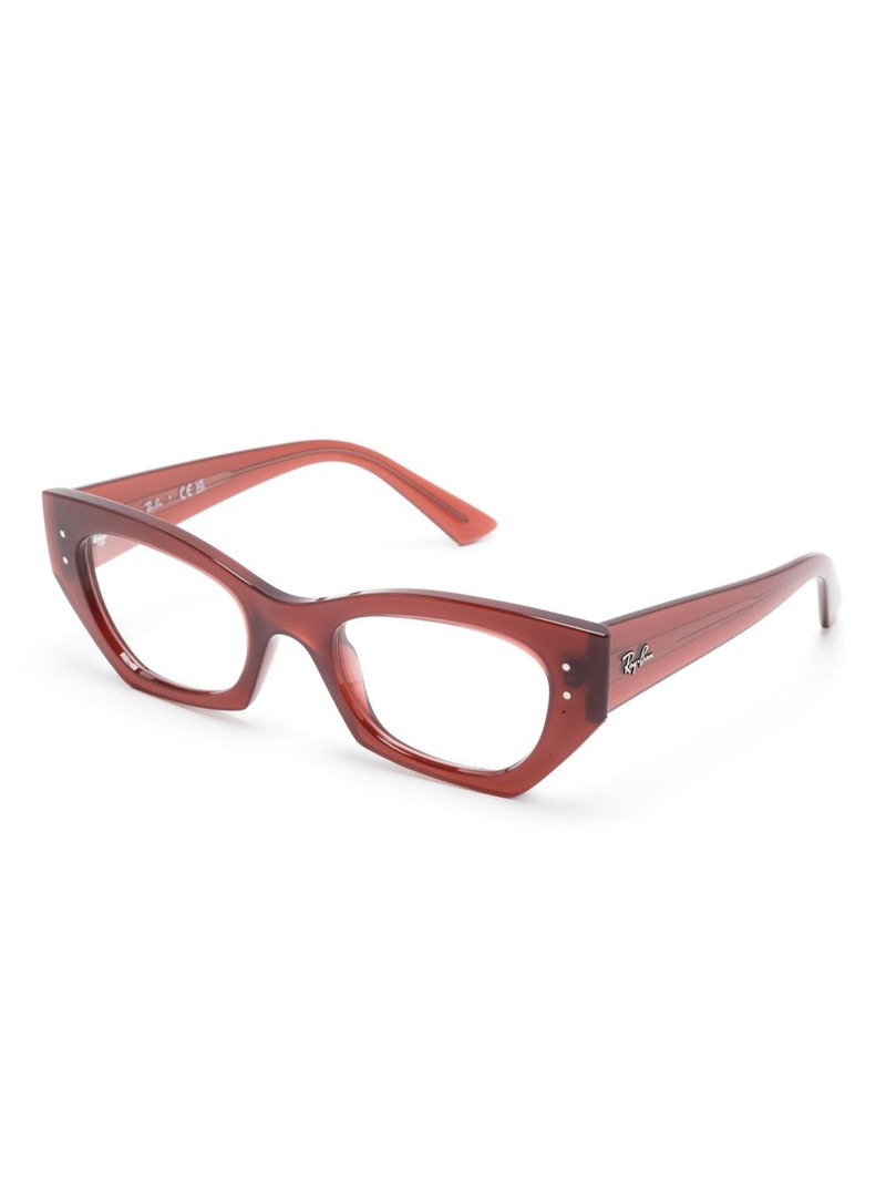 Ray-Ban 7330 glasses outlook