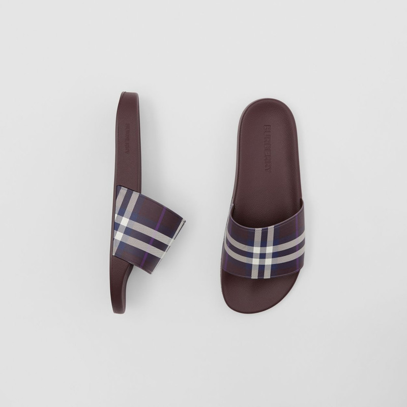 Check Print Slides 1