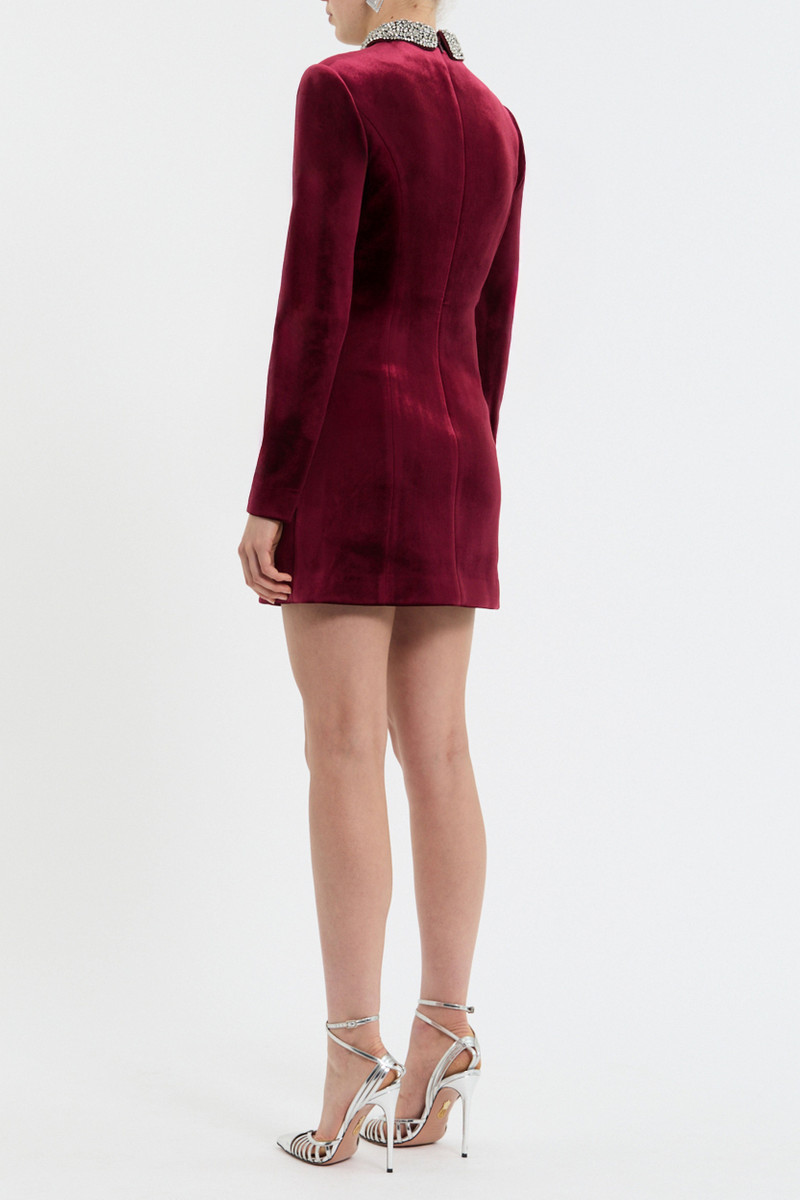 Edwiena Long Sleeve Mini Dress 4