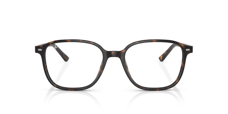 LEONARD TRANSITIONS® 6