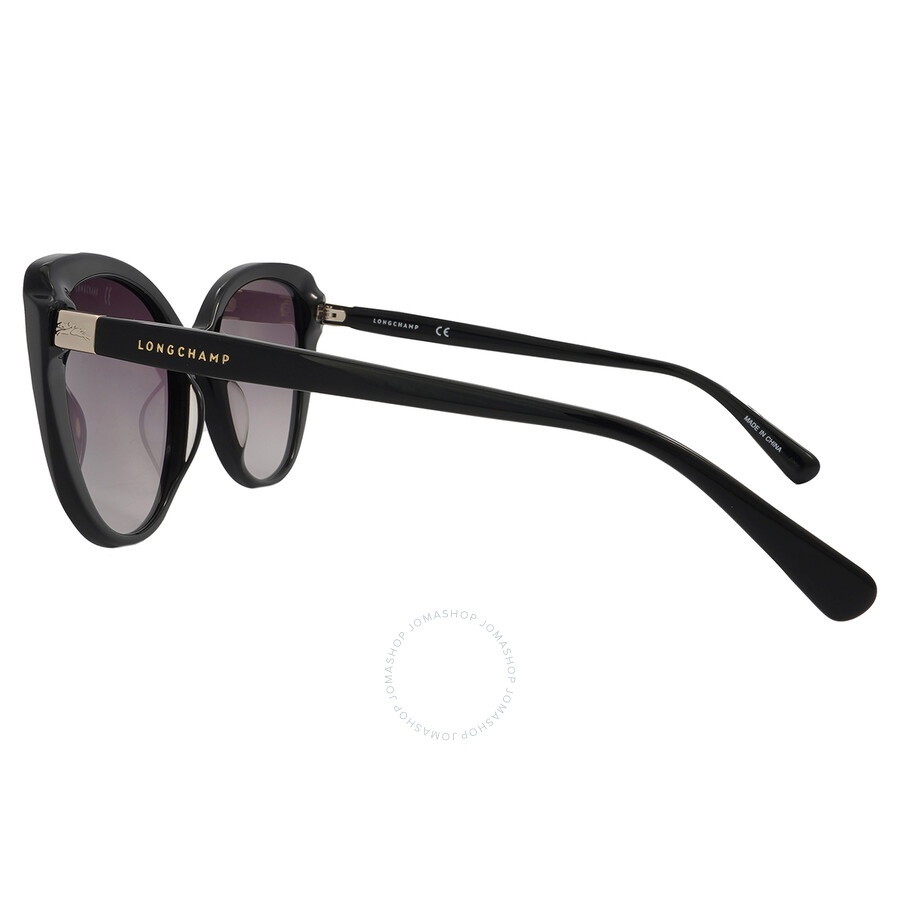 Longchamp Grey Gradient Cat Eye Ladies Sunglasses LO670S 001 54 - 2