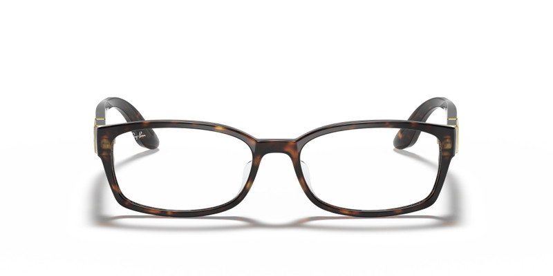 RB5198 OPTICS 4
