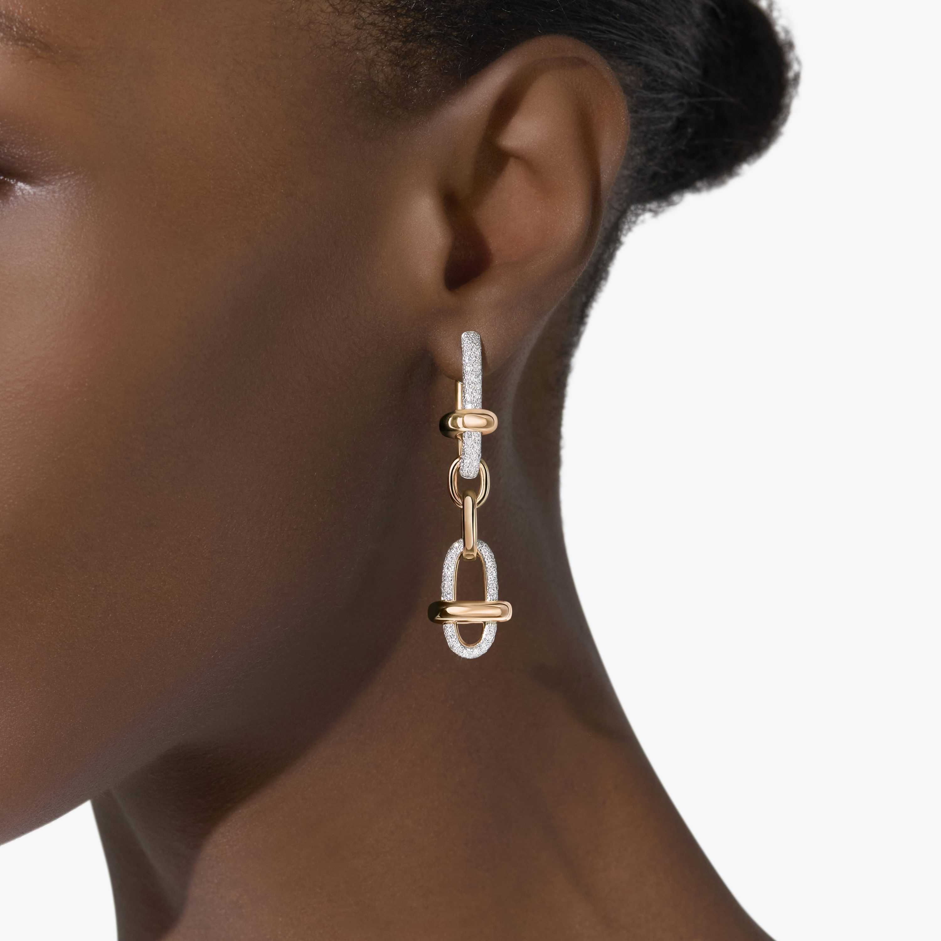 Iconica Earrings - 1