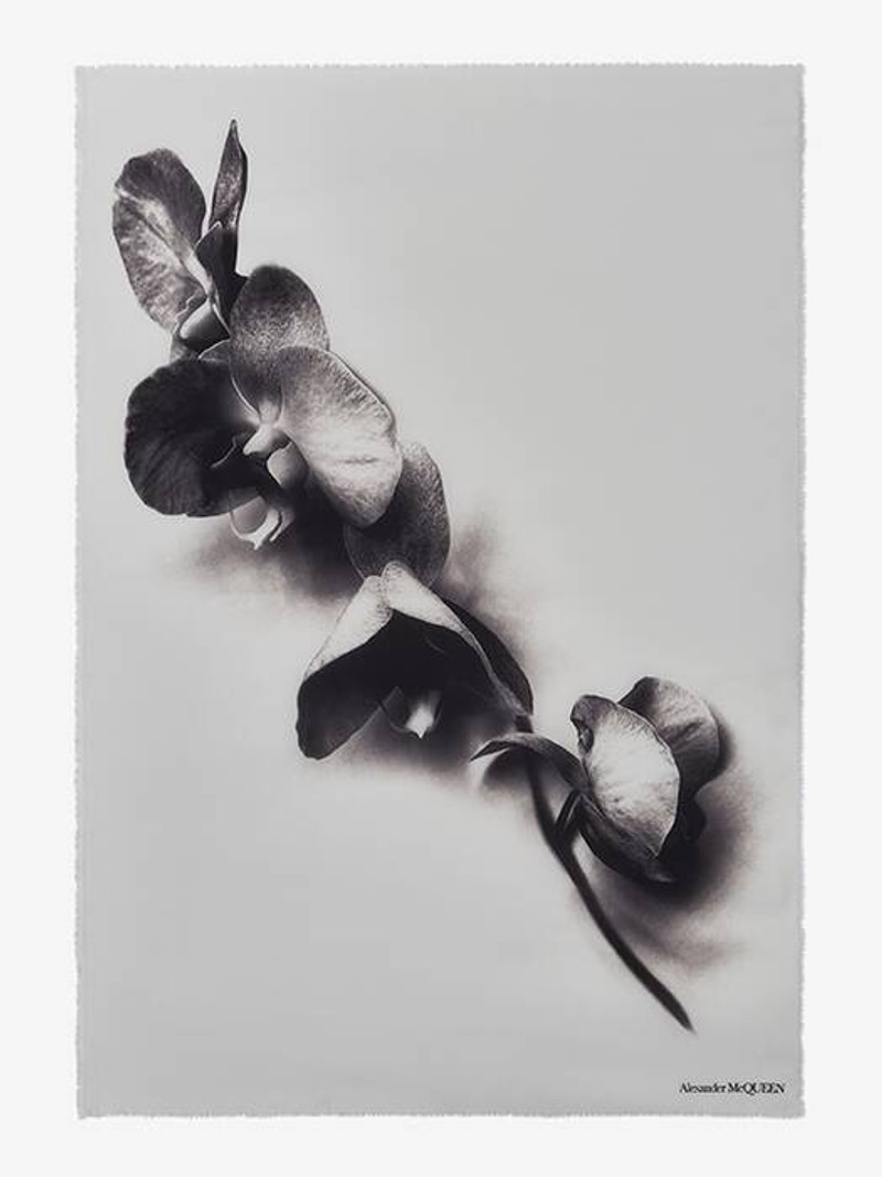 Women's Orchid Stem Shawl in Ivory/black 1