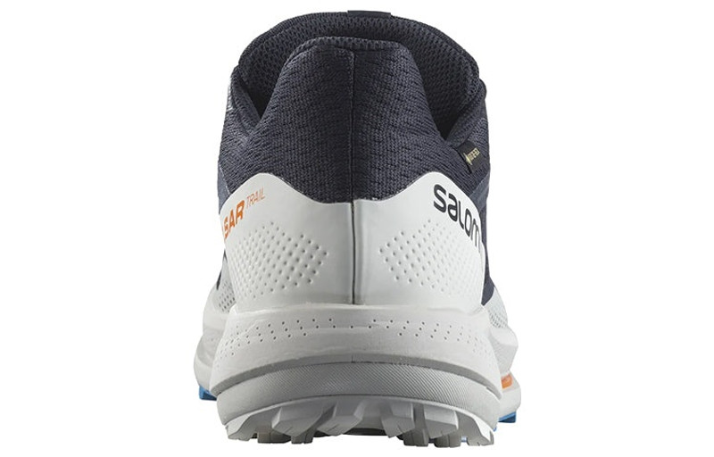 SALOMON Salomon Pulsar Trail GTX 'Night Sky' 417499 / L41749900 outlook
