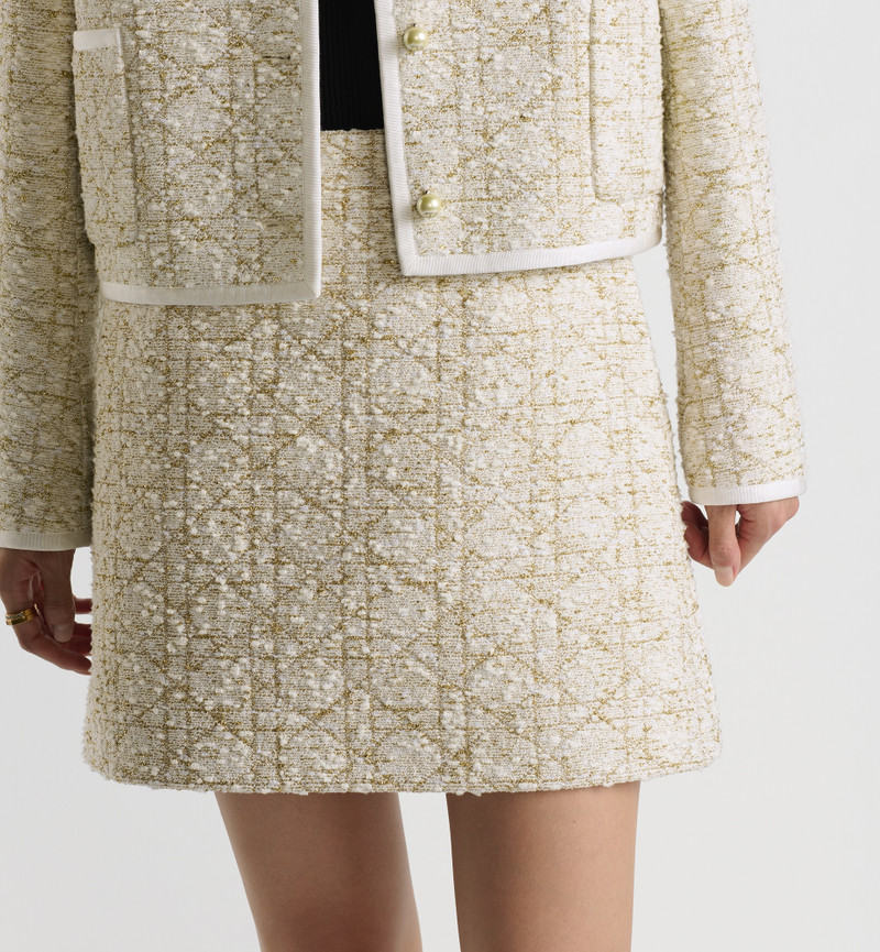 Dior Or Macrocannage Miniskirt 4