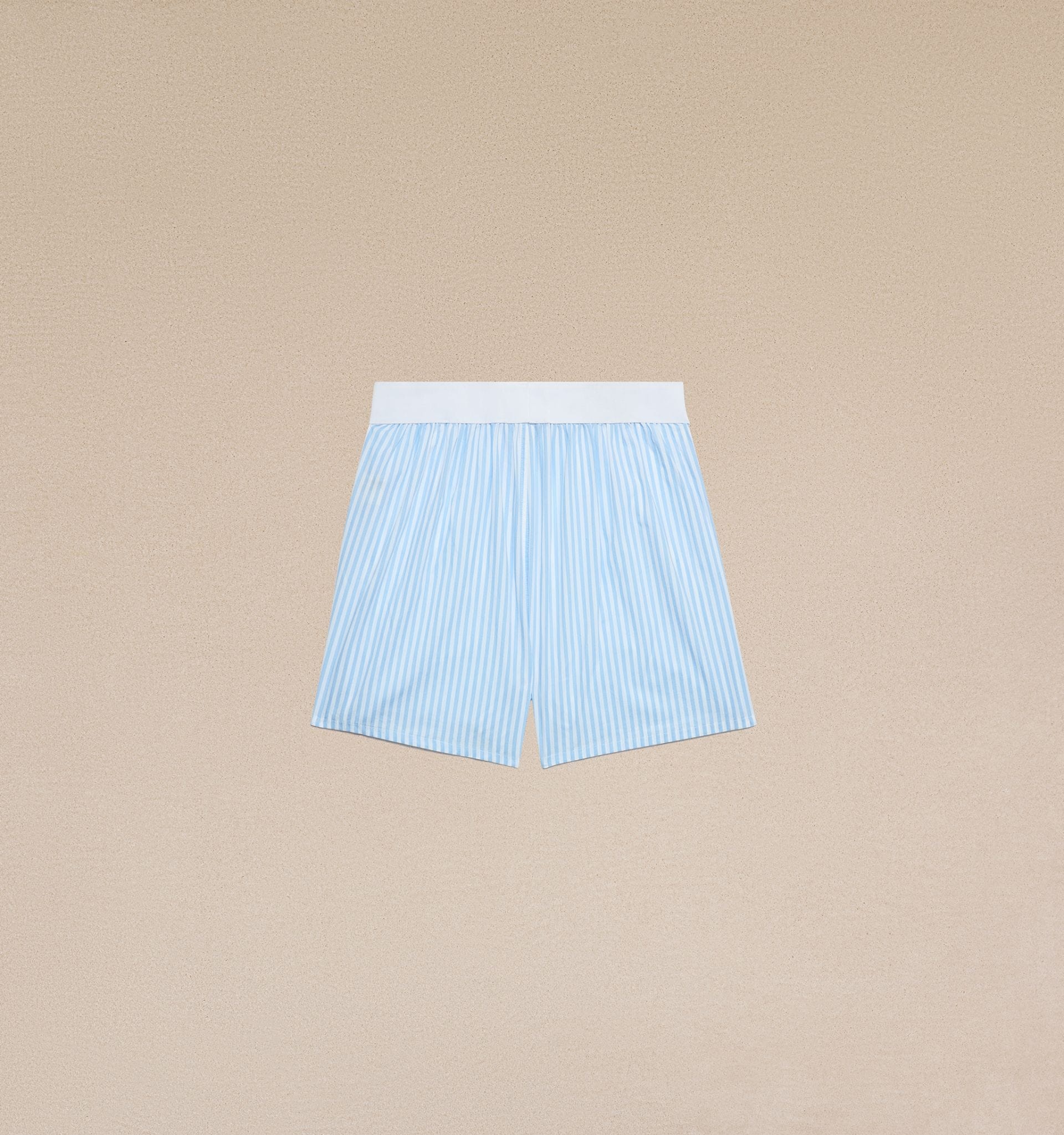 Ami De Coeur Boxer - 3
