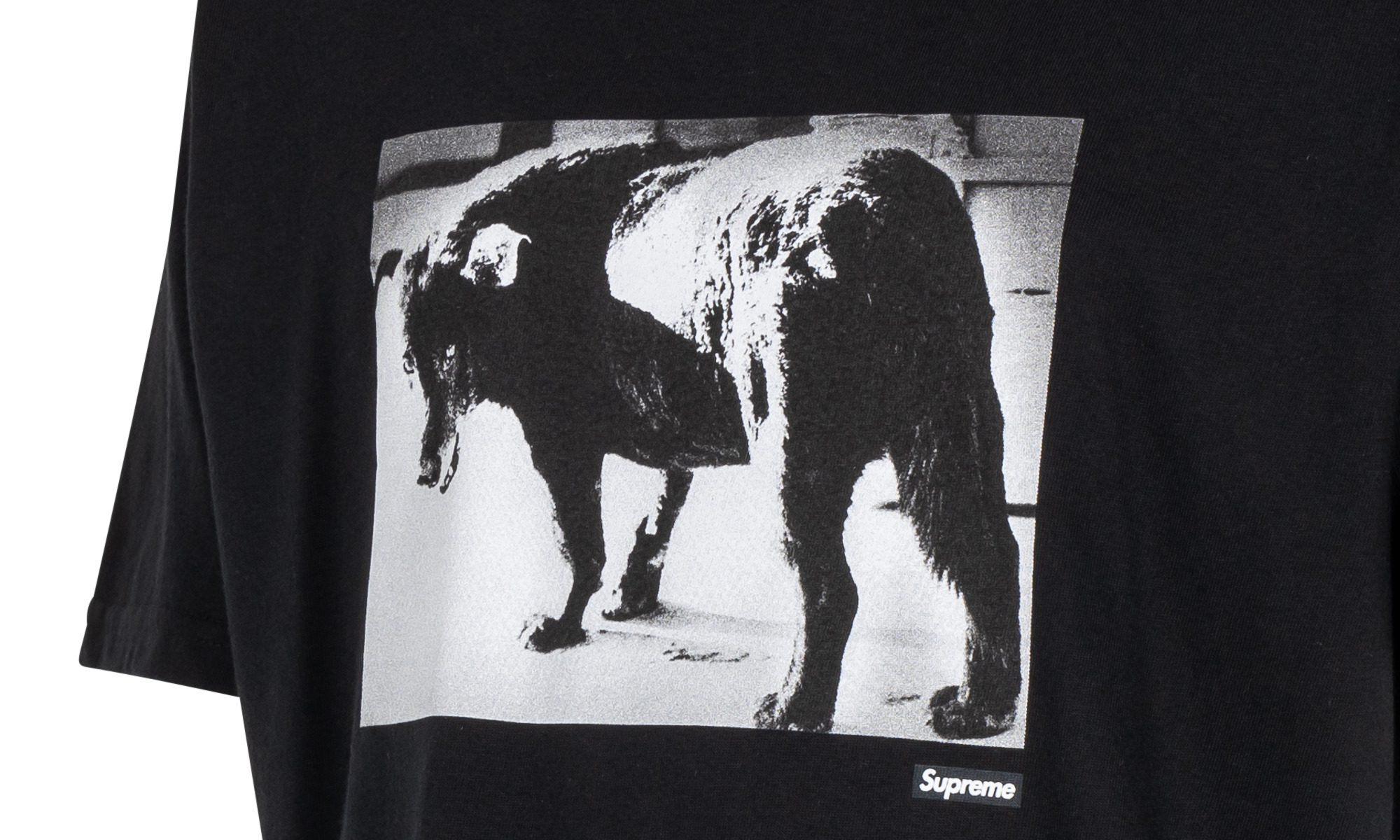Daido Moriyama Dog Tee - 2