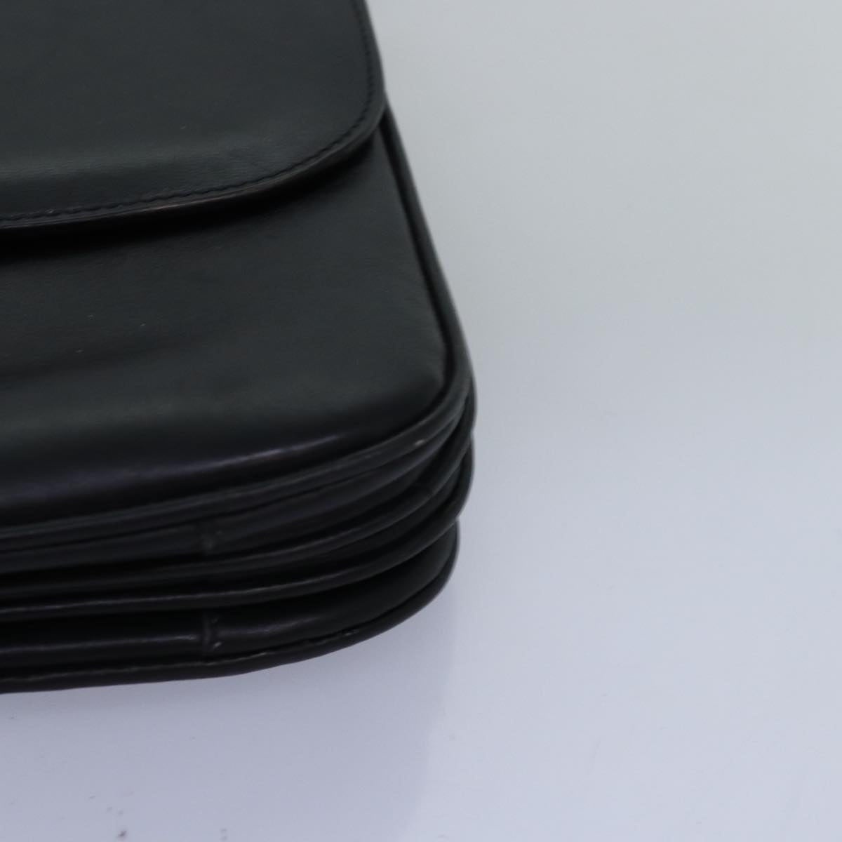 CELINE Horse Carriage Shoulder Bag Leather Black - 15