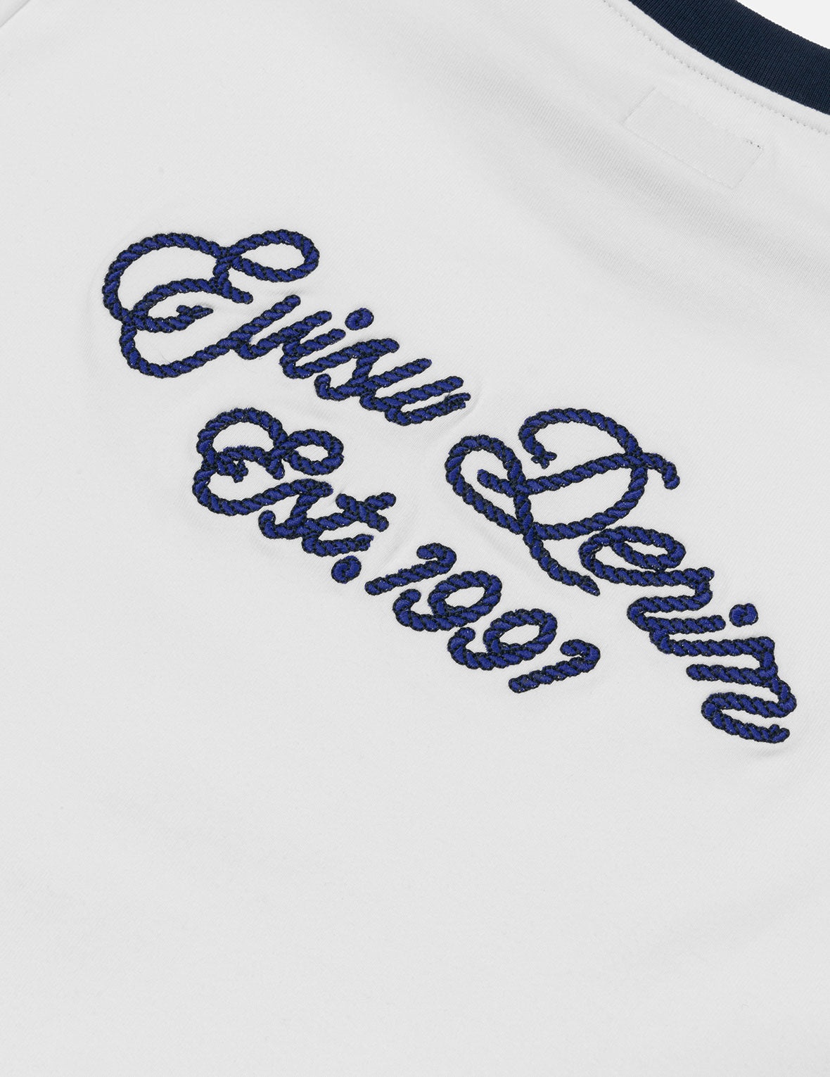 Contrast 3D Seagull and Slogan Embroidery Slim Fit T-Shirt - 5