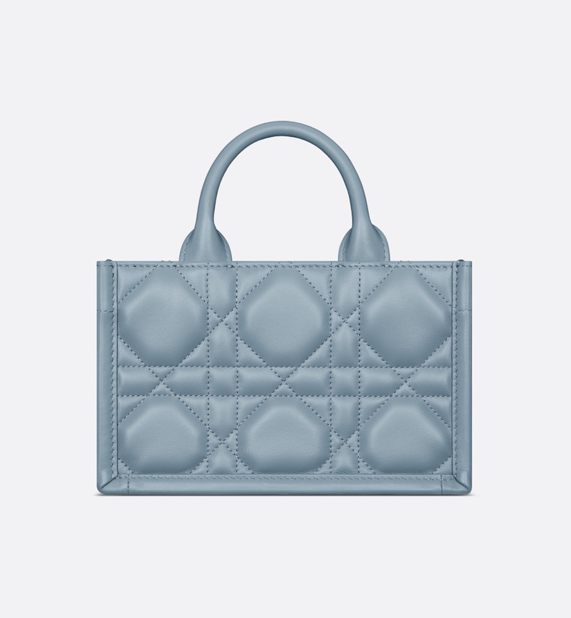 Mini Dior Book Tote 5