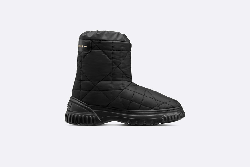Dior Frost Ankle Boot 1