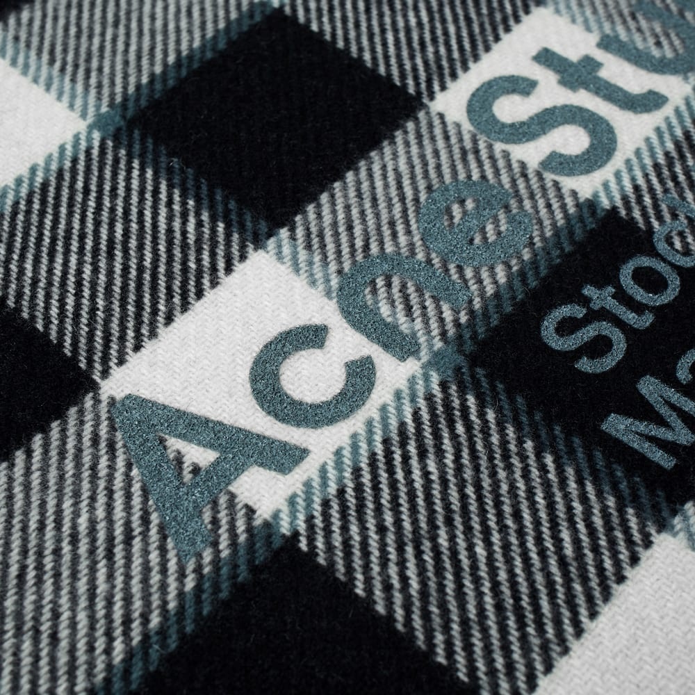 Acne Studios Cassiar Check Scarf - 2