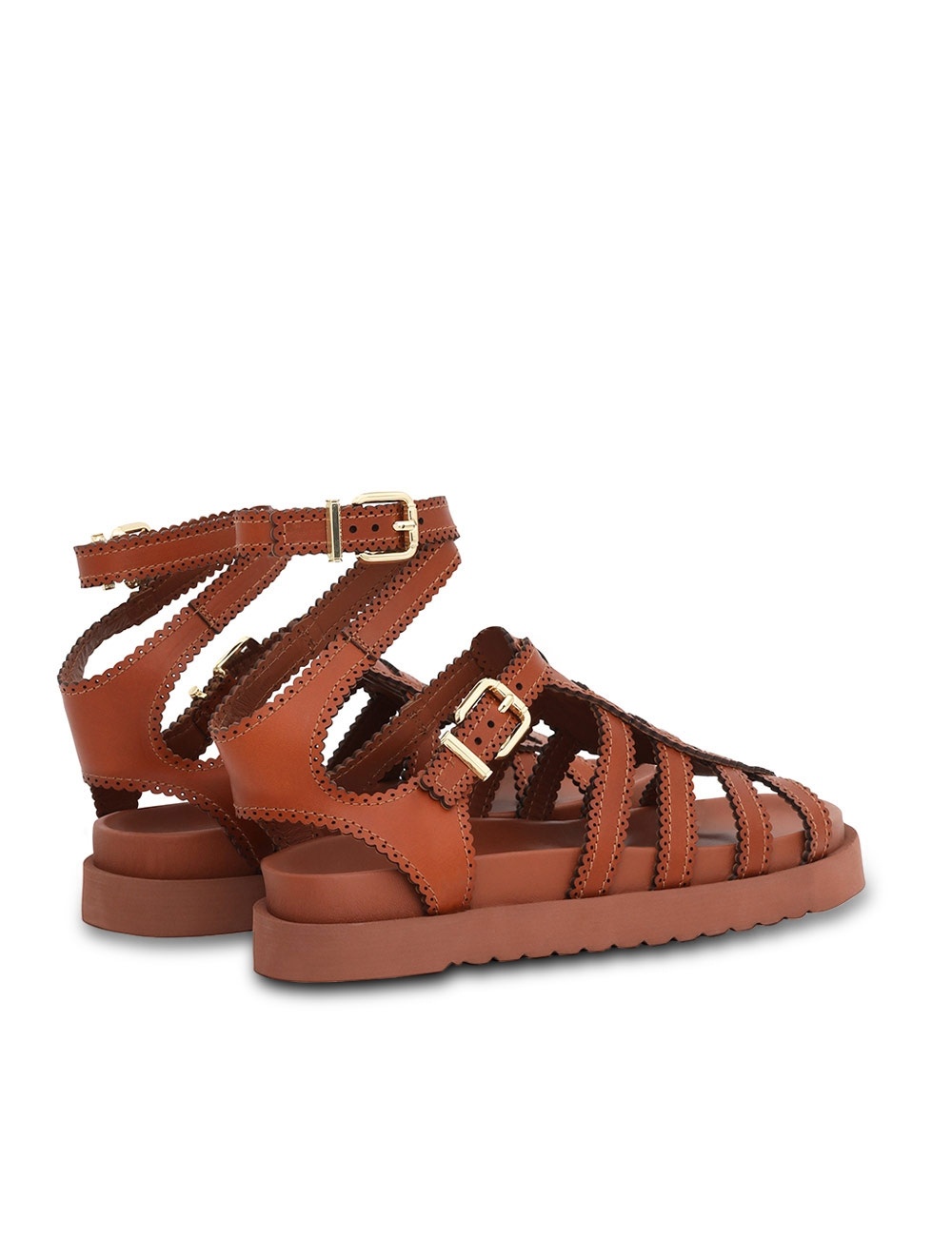 GOLDIE GLADIATOR - 5