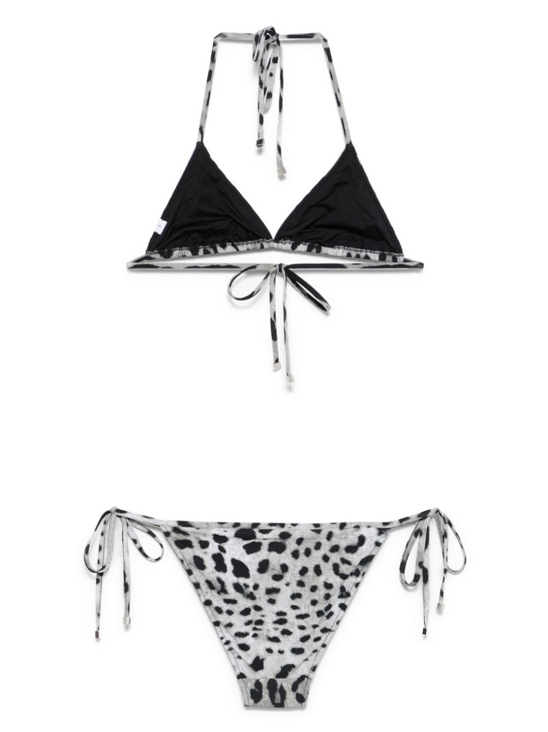 Dolce & Gabbana leopard-print bikini outlook