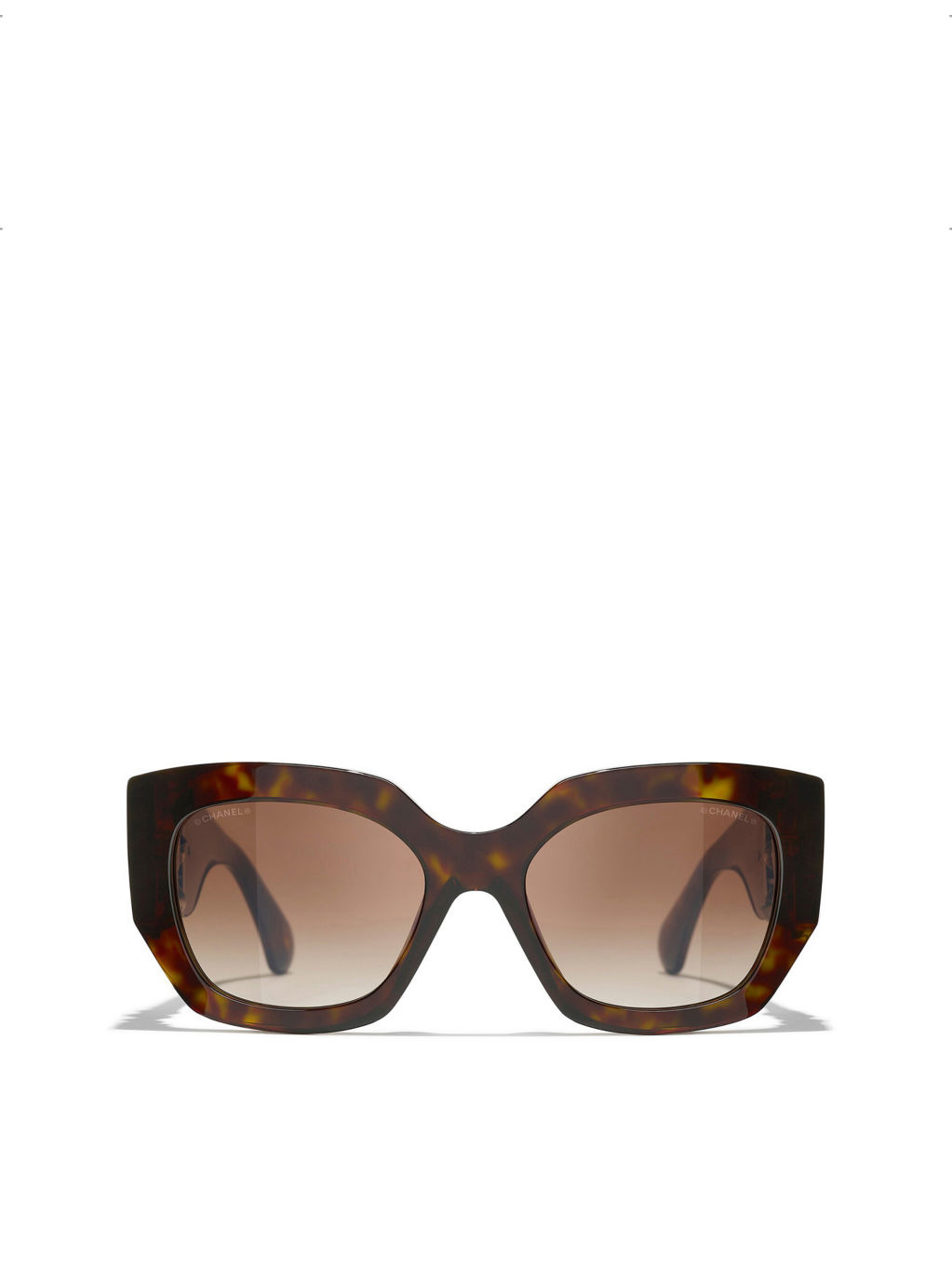CH5545 Cat Eye Acetate Sunglasses - 1
