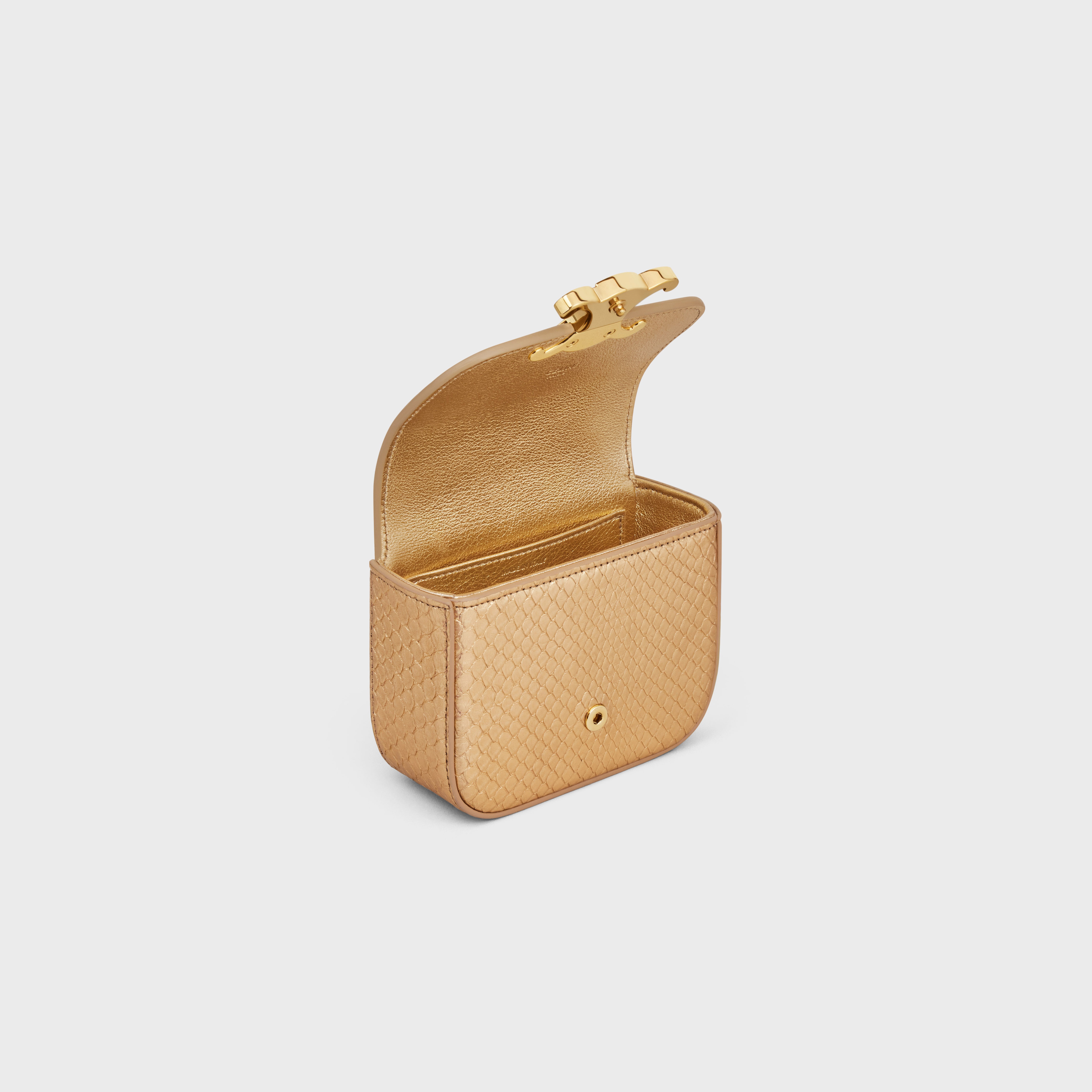MINI CHAIN CLAUDE in LAMINATED PYTHON - 4