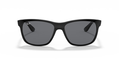 Ray-Ban RB4181 outlook