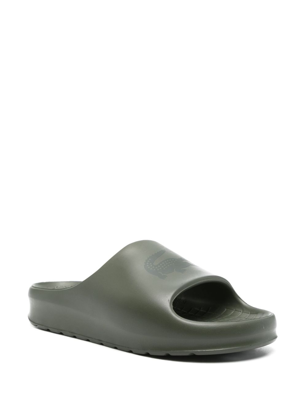 Serve 2.0 pool slides - 2