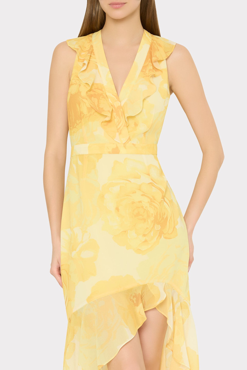 Nanci Printed Midi Dress 4