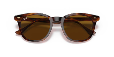 Ray-Ban HAWKEYE outlook