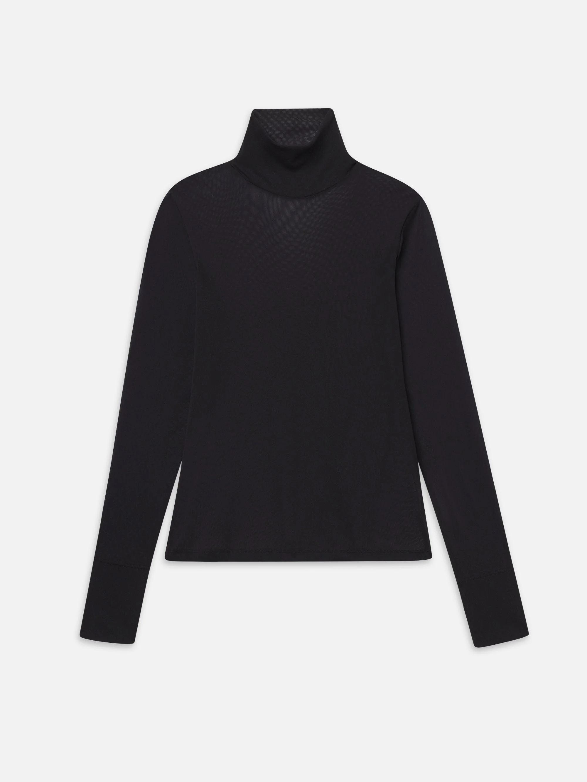 The Sheer Turtleneck - 1