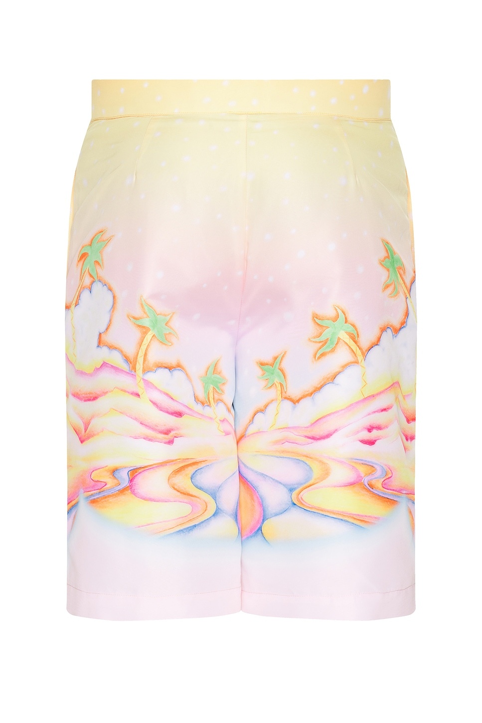 Printed Swim Boarder Shorts - 2
