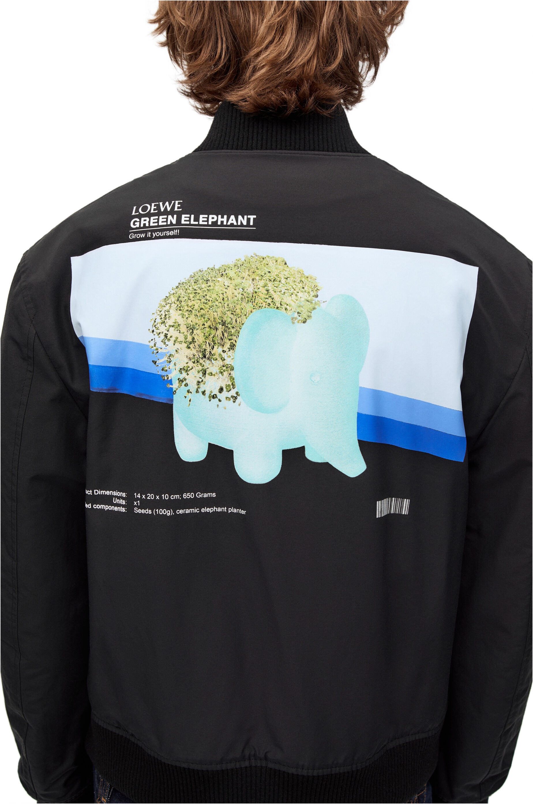 Loewe Chia elephant bomber jacket in cotton and polyamide