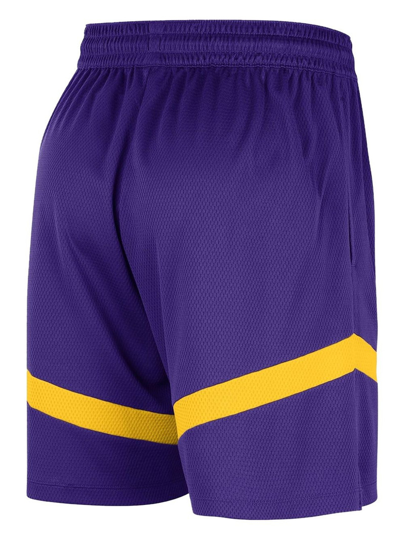 Nike NBA Lakers Icon shorts outlook