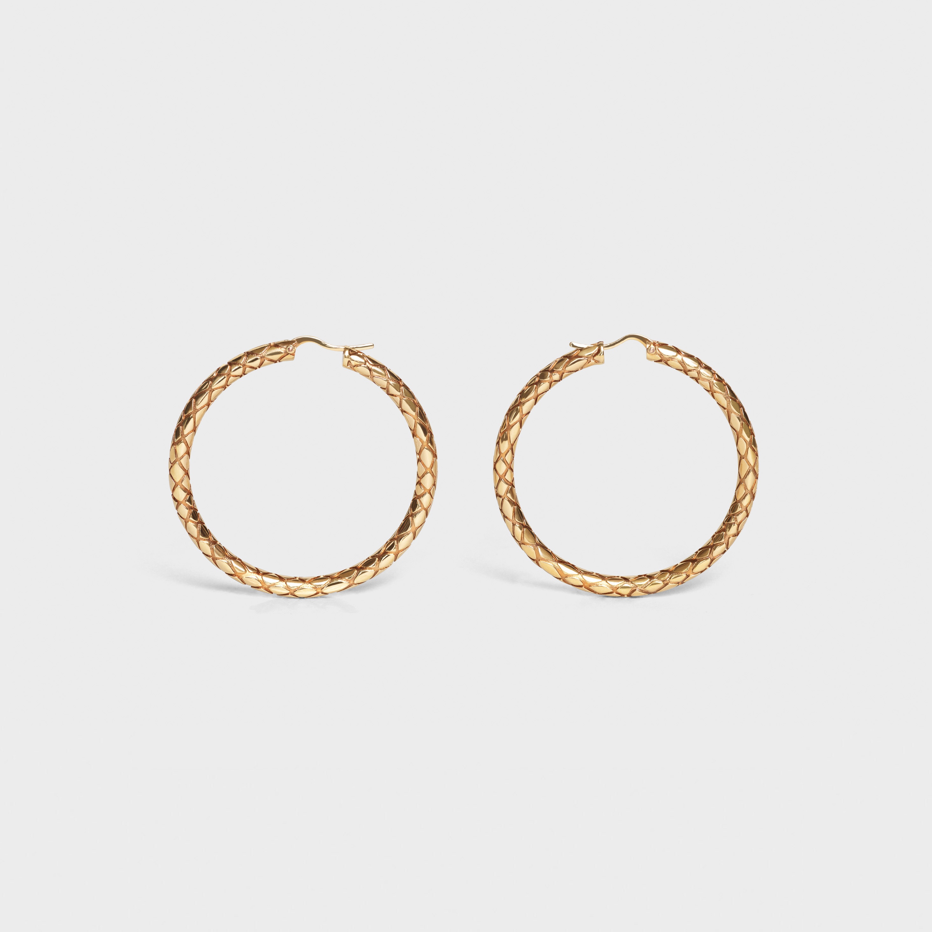 CELINE ANIMALS BOLD HOOPS  IN  BRASS WITH VINTAGE GOLD FINISH - 1