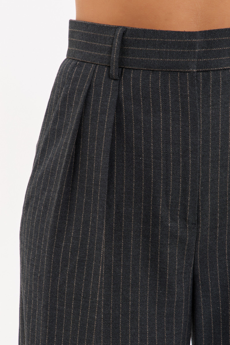 Harri Pant 6