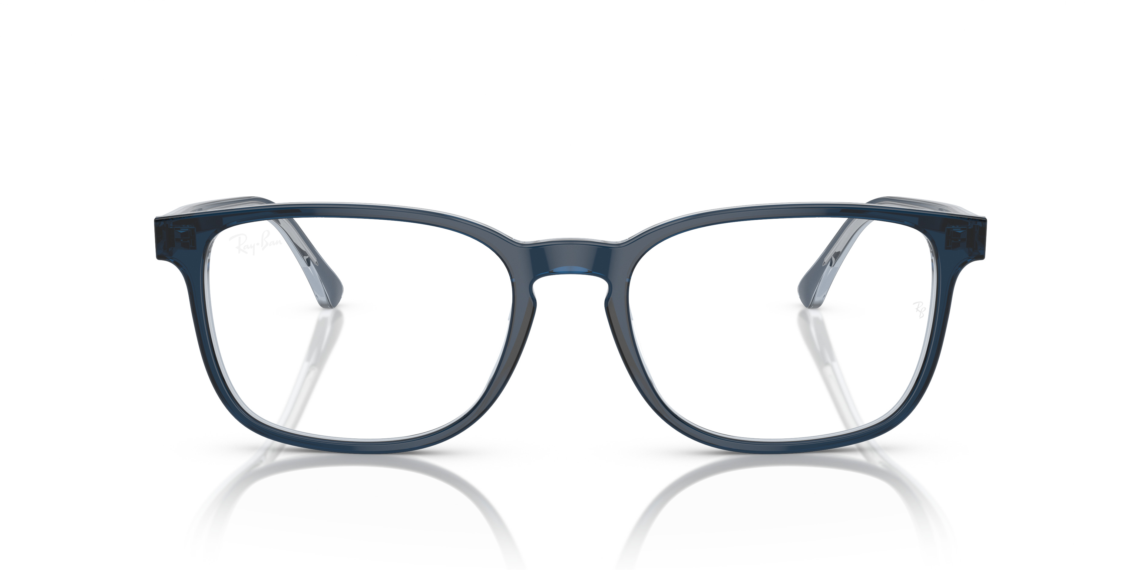 RB5418 OPTICS - 4