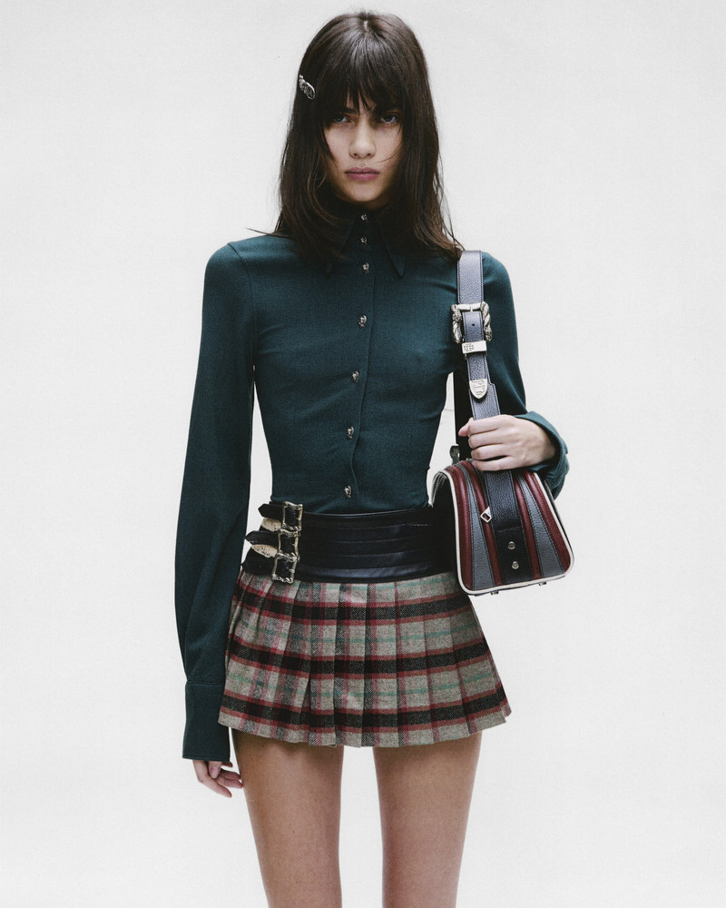 DOG IN RESTRAINT SKIRT 3