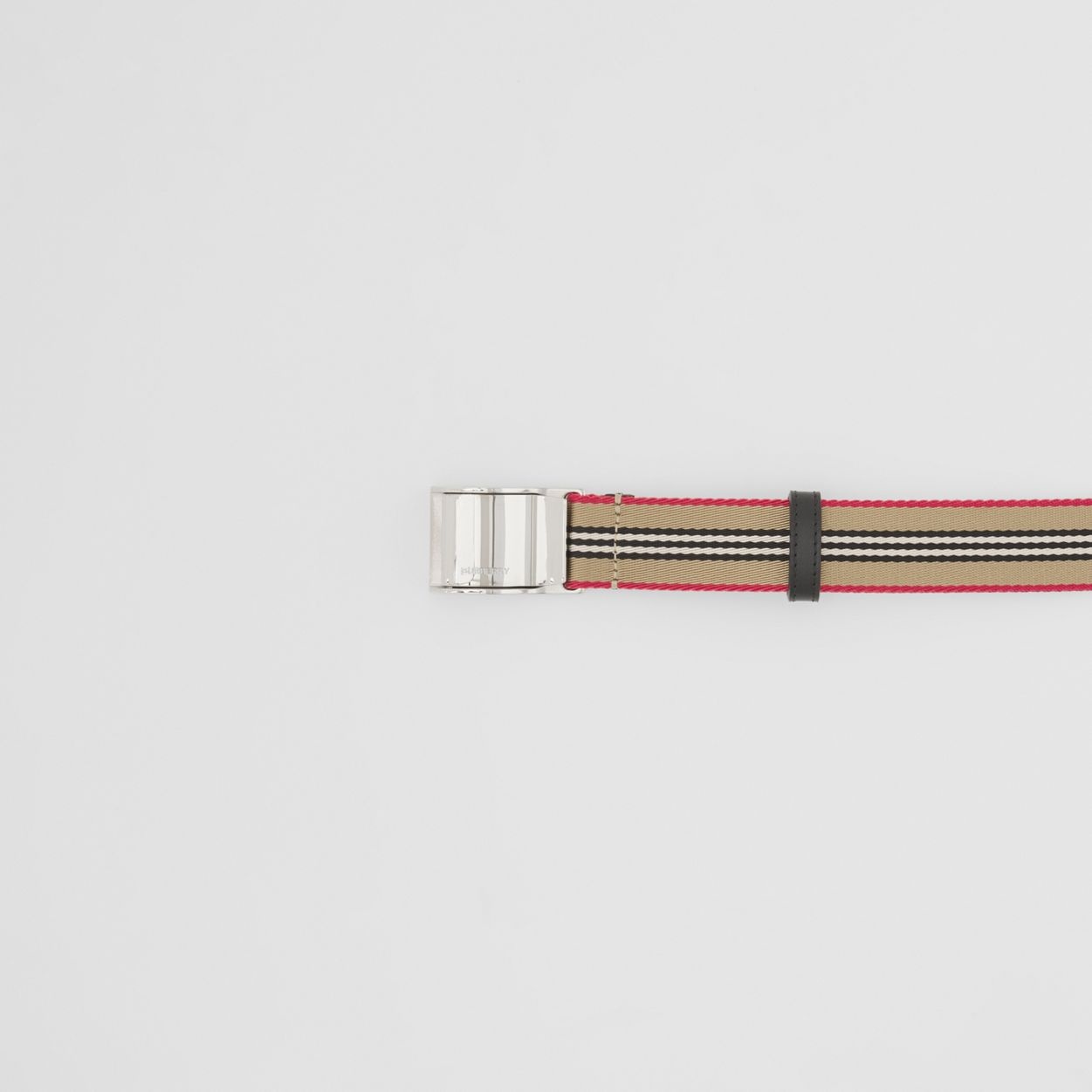 Icon Stripe Webbed Belt - 2