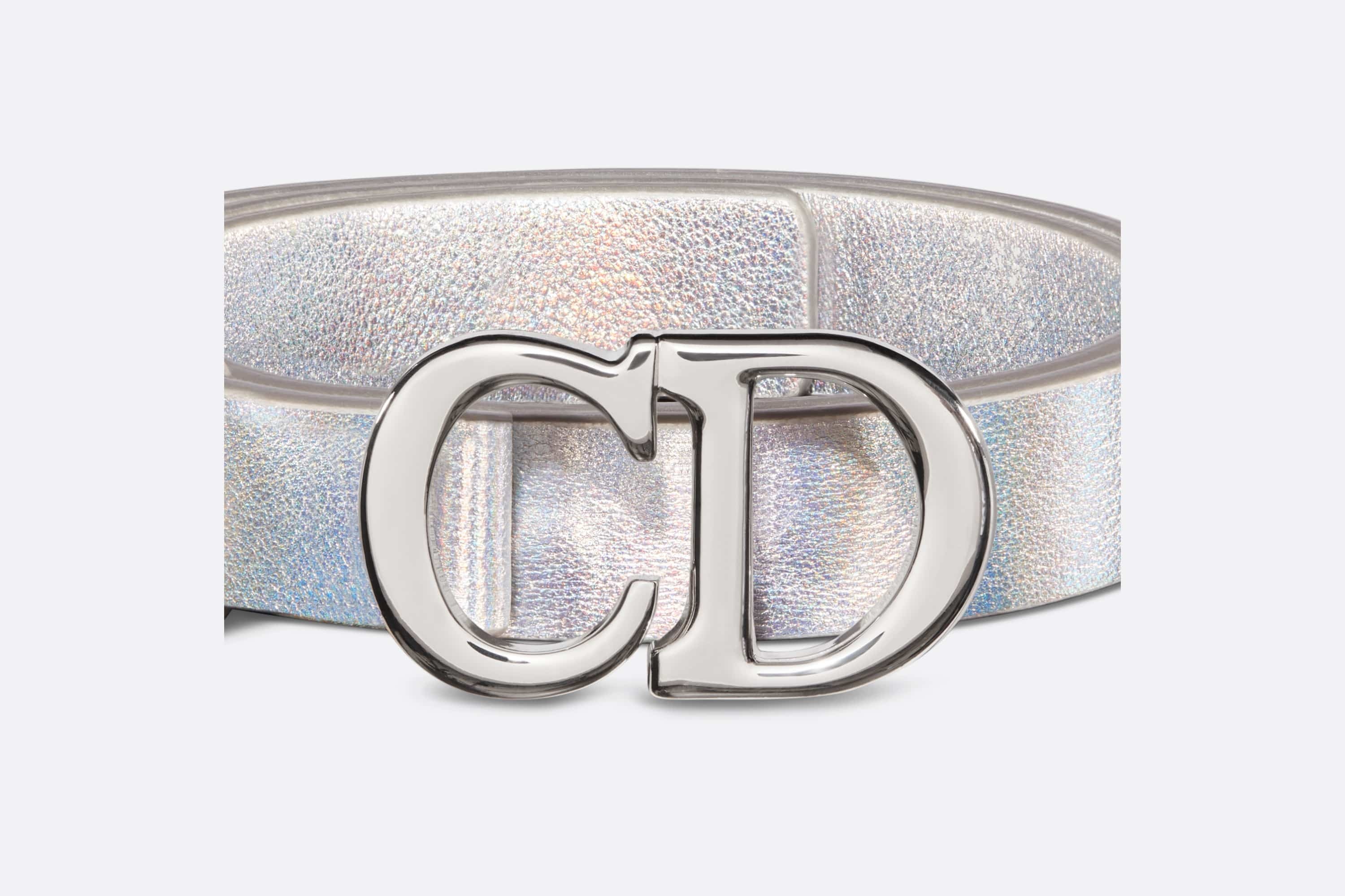 Dior Or Saddle Belt - 4