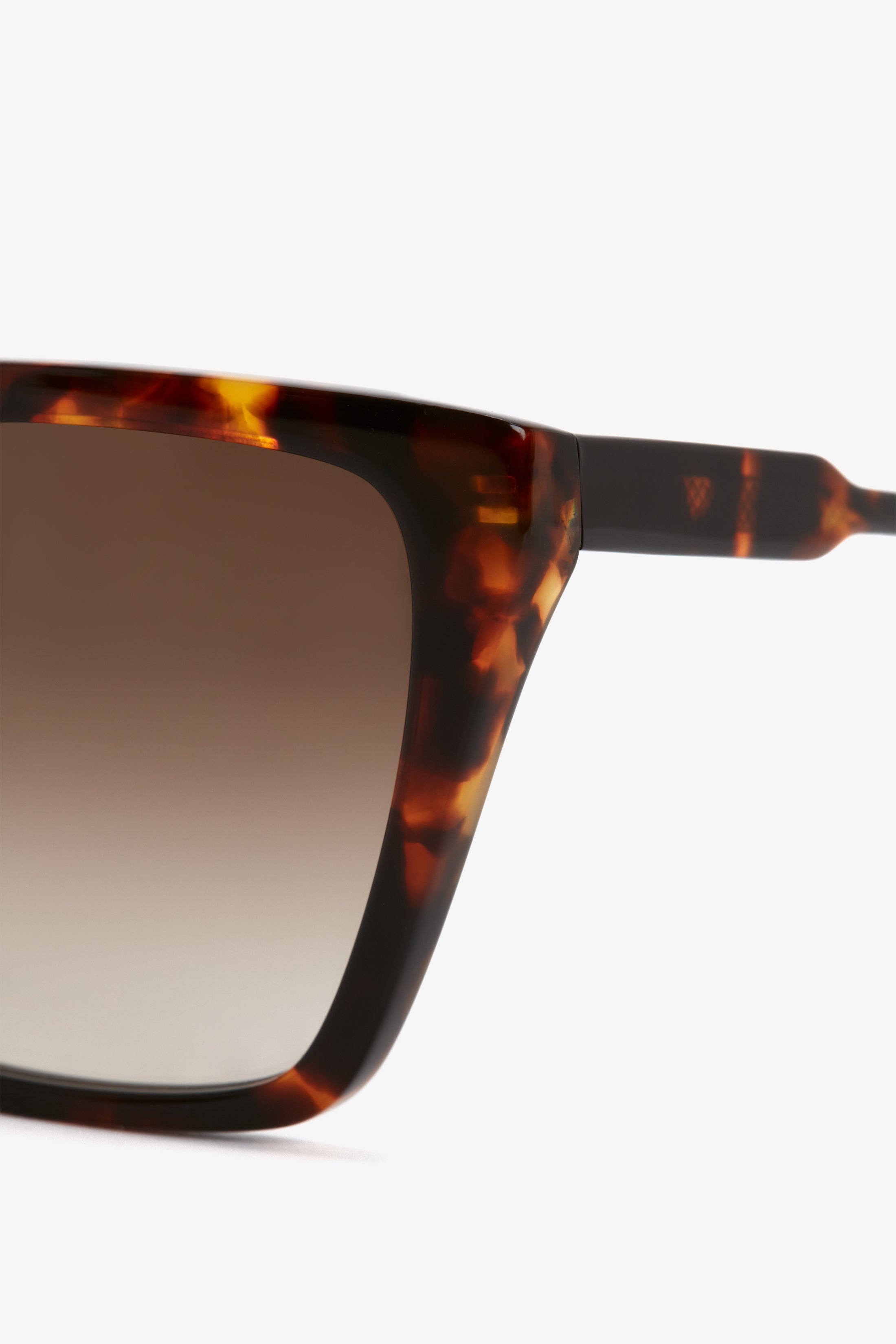 Guilloche Frame Sunglasses in Dark Havana - 4