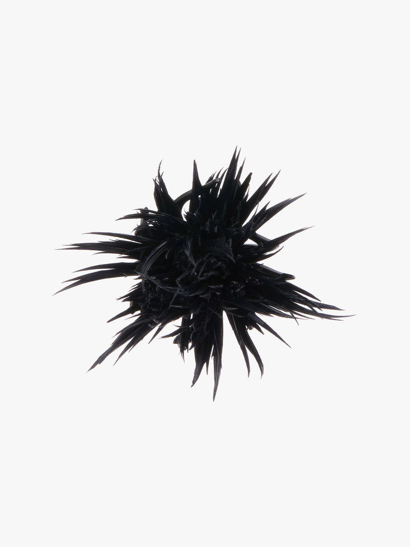 THISTLE EARRINGS WITH FEATHERS - 1
