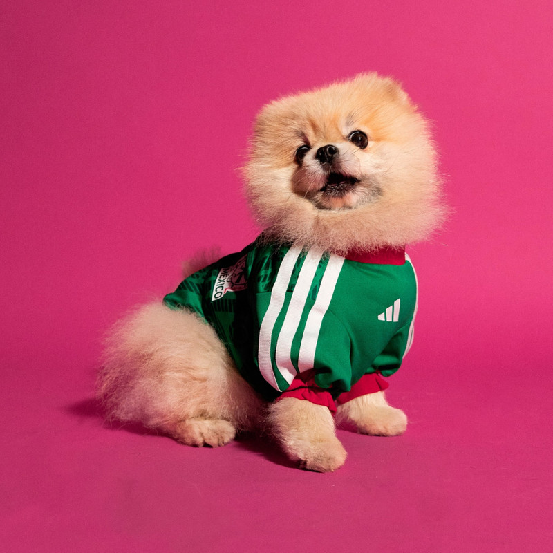 Pet Jersey 26 Mexico 3