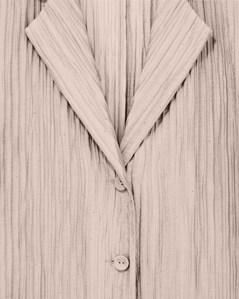 EMPORIO ARMANI SINGLE-BREASTED JACKET IN SPARKLING PLEATED CREPON outlook